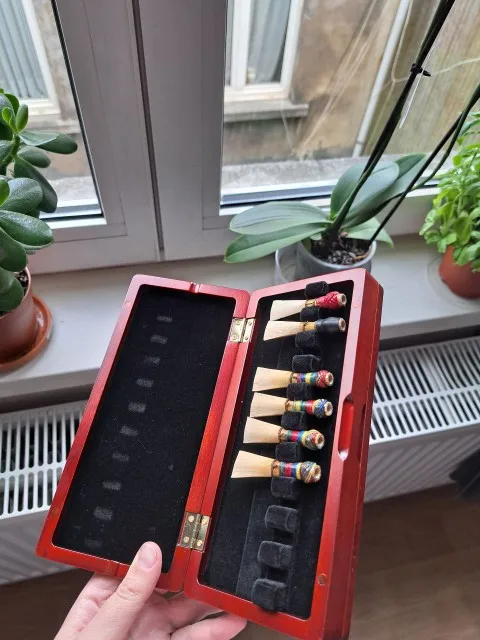 Musical Instrument Bassoon - 1 stuks fagotriet opbergkoffer gemaakt van