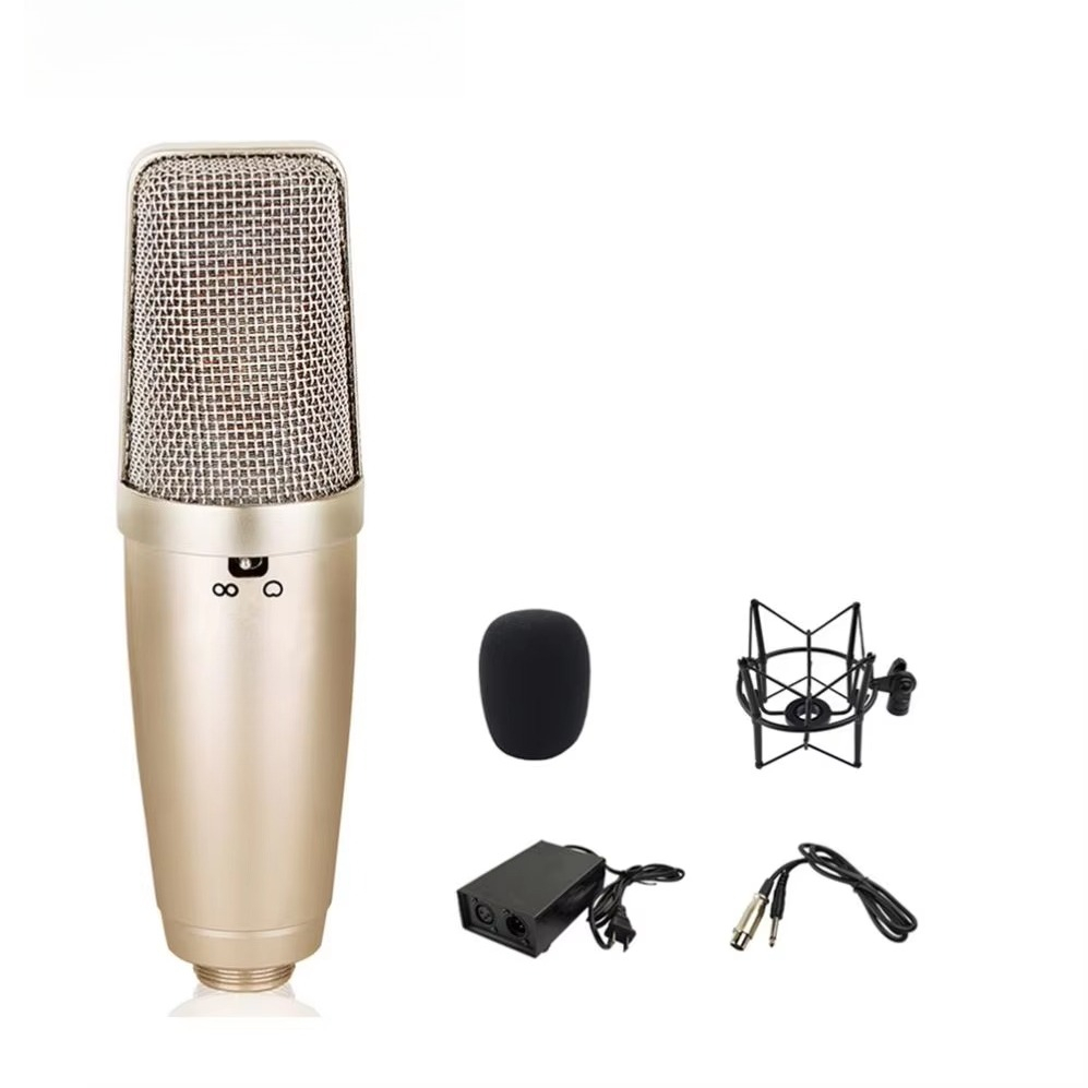 Song With Musical Instrument - Gloednieuwe kindermicrofoon met standaard Karaoke Lied