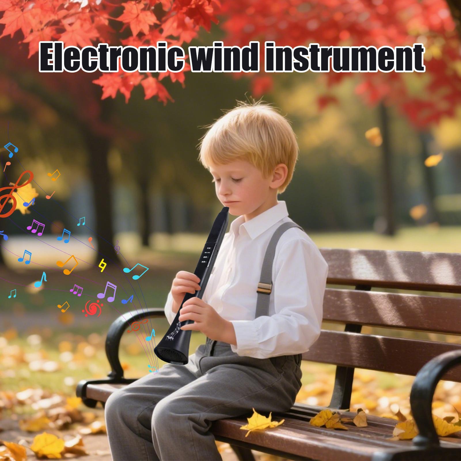Elektronisch digitaal blaasins - Musical Instrument Synthesizer recensie en prijs