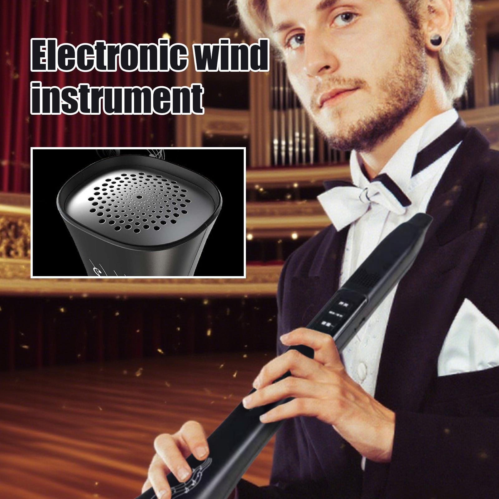 Elektronisch digitaal blaasins - Musical Instrument Synthesizer recensie en prijs