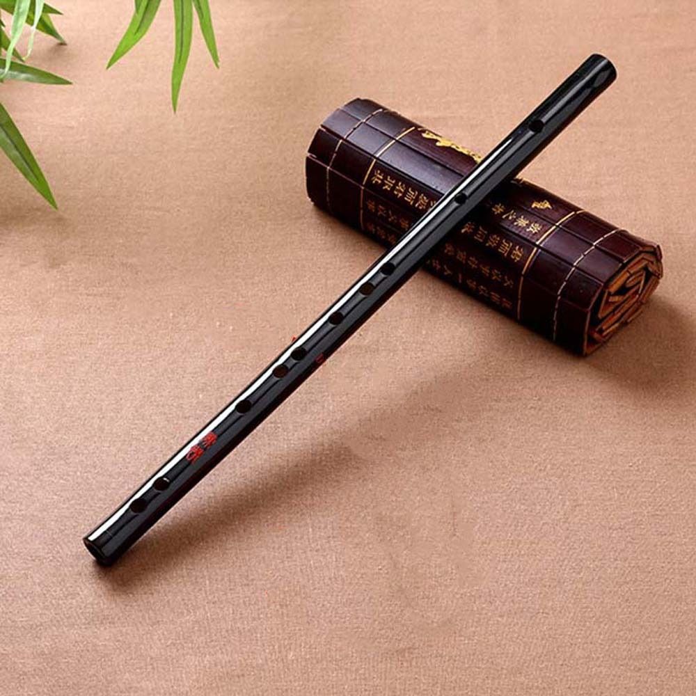 Acryl Fluit Transparant E/F/G  - Musical Instrument Fife recensie en prijs