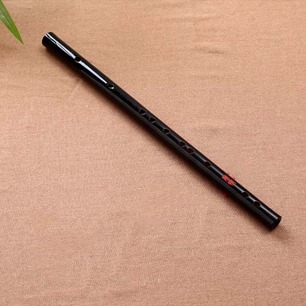 Acryl Fluit Transparant E/F/G  - Musical Instrument Fife recensie en prijs