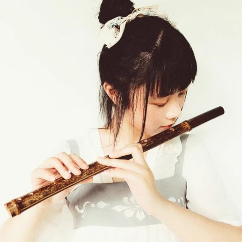 Paarse Bamboefluit Professione - Musical Instrument Fife recensie en prijs