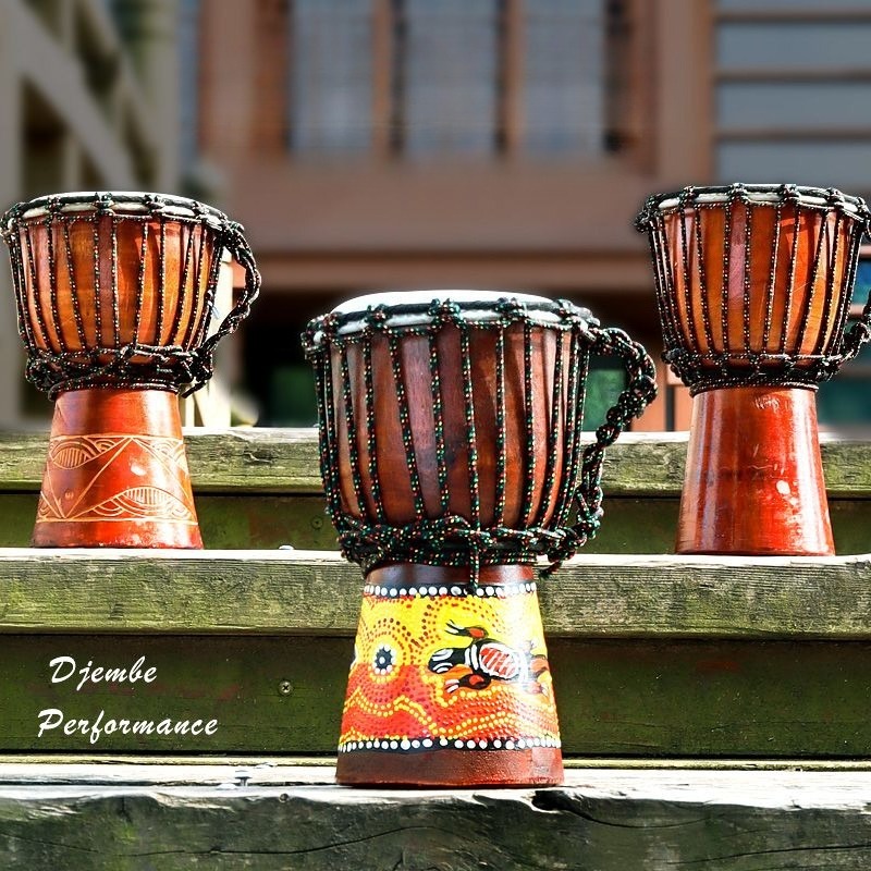 Kinderen Beginner Kleine Afrik - Musical Instrument African recensie en prijs