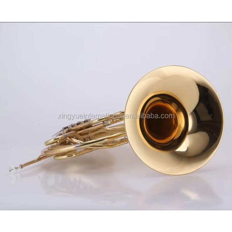 Professionele dubbele muziekin - Musical Instrument French recensie en prijs